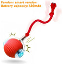 SMART PET  BOLL : Bola Interativa Inteligente