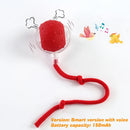SMART PET  BOLL : Bola Interativa Inteligente
