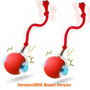 SMART PET  BOLL : Bola Interativa Inteligente