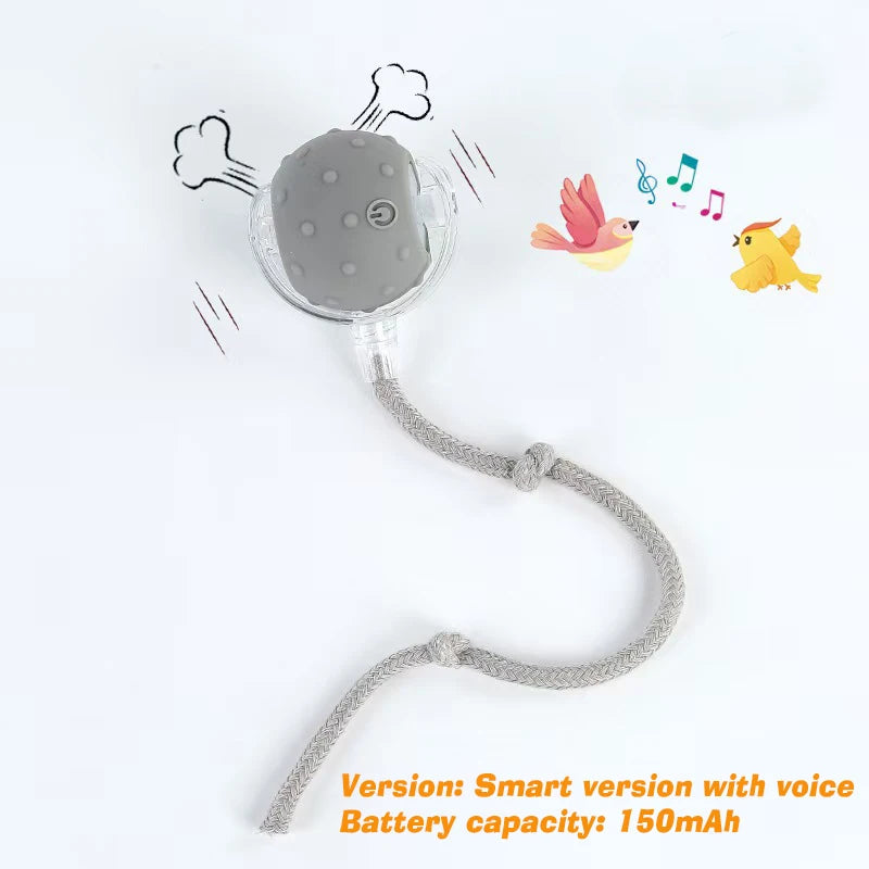 SMART PET  BOLL : Bola Interativa Inteligente