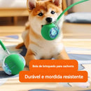 SMART PET  BOLL : Bola Interativa Inteligente