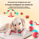 SMART PET  BOLL : Bola Interativa Inteligente