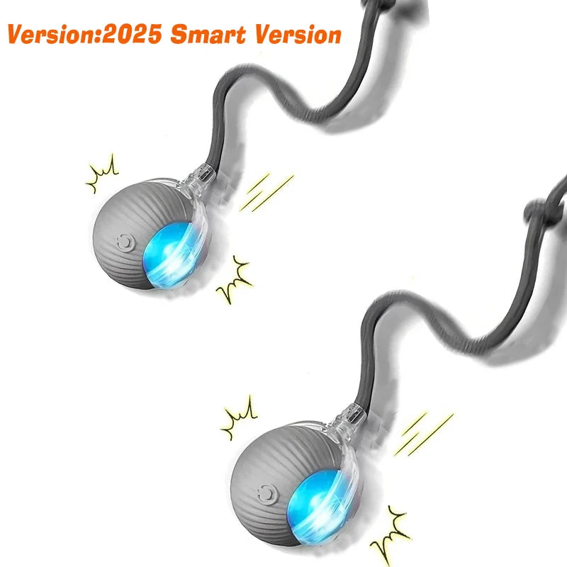 SMART PET  BOLL : Bola Interativa Inteligente