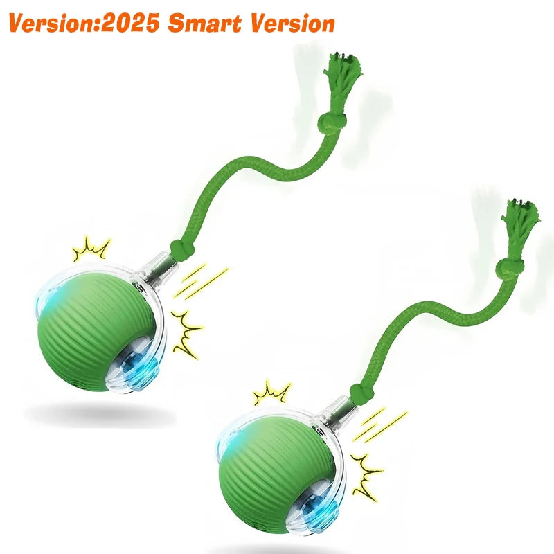 SMART PET  BOLL : Bola Interativa Inteligente