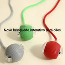 SMART PET  BOLL : Bola Interativa Inteligente
